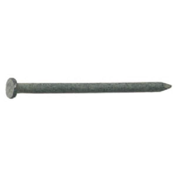 Homestead 54205 20D Hot Galvanized Smooth Shank Common Nail HO698393 - main
